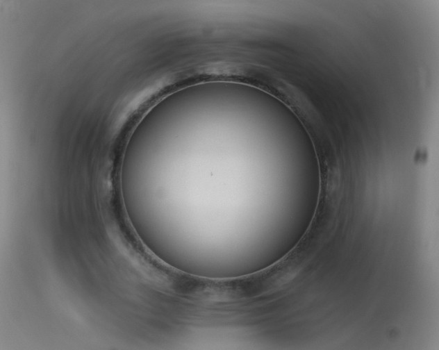 X0000114130727200910151544