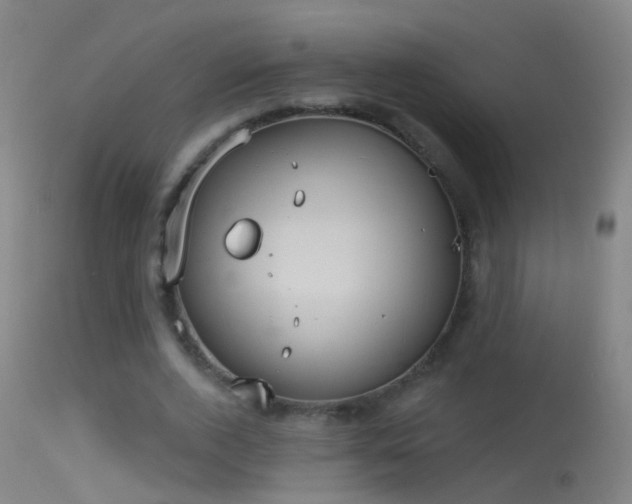 X0000114130728200910151544