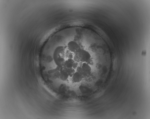 X0000114130729200910151544