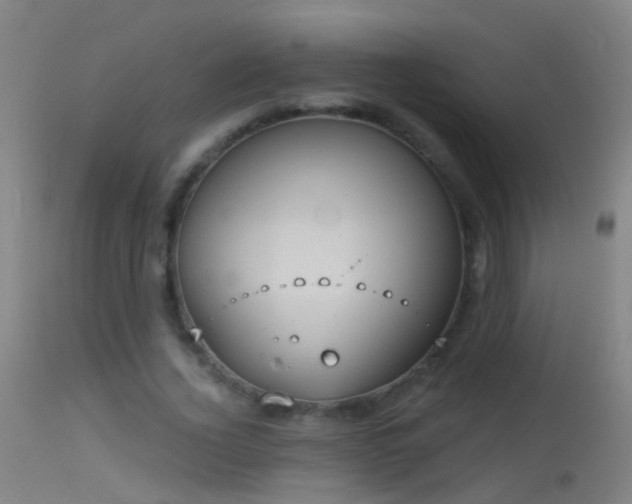 X0000114130732200910151544