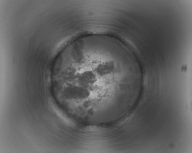 X0000114130733200910151544