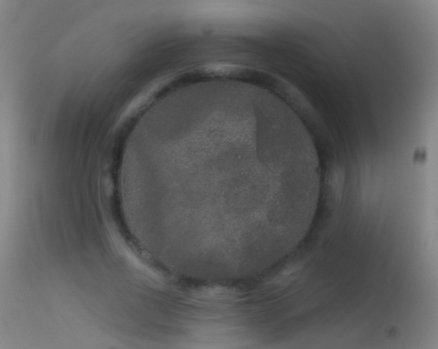 X0000114130734200910151544