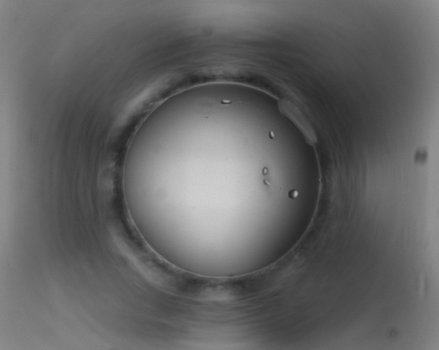 X0000114130735200910151544