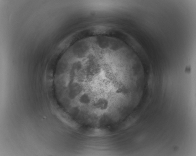 X0000114130737200910151544