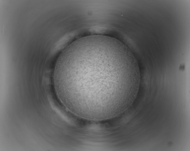 X0000114130738200910151544