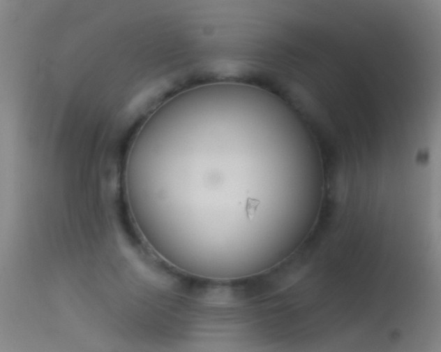 X0000114130740200910151544