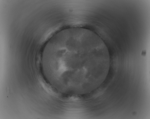 X0000114130742200910151545