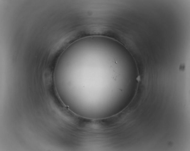 X0000114130743200910151545