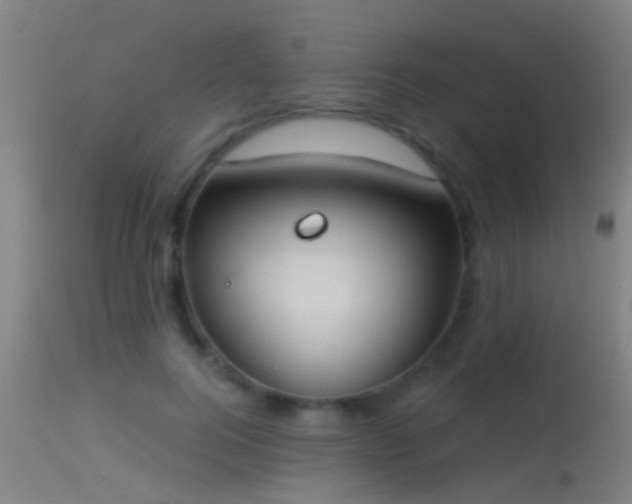 X0000114130744200910151545