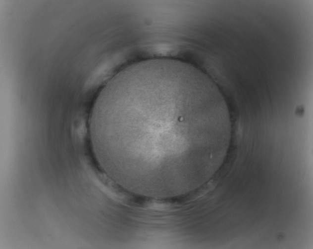 X0000114130746200910151545