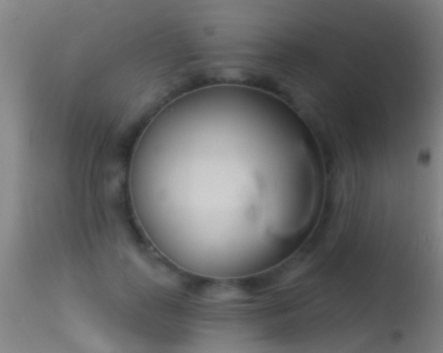 X0000114130747200910151545