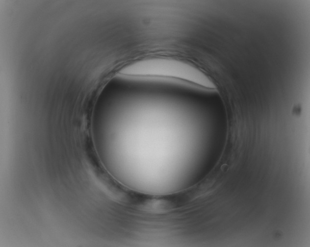 X0000114130748200910151545