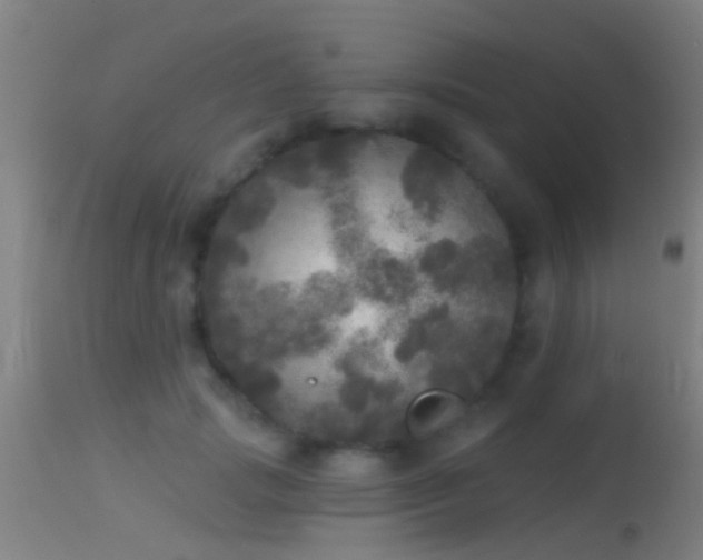 X0000114130749200910151545