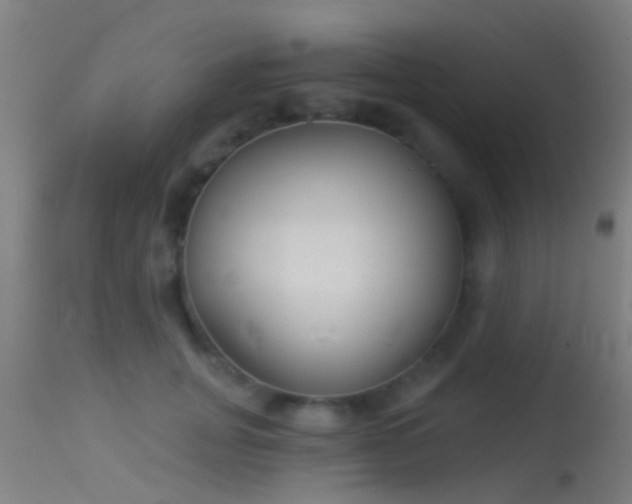 X0000114130751200910151545