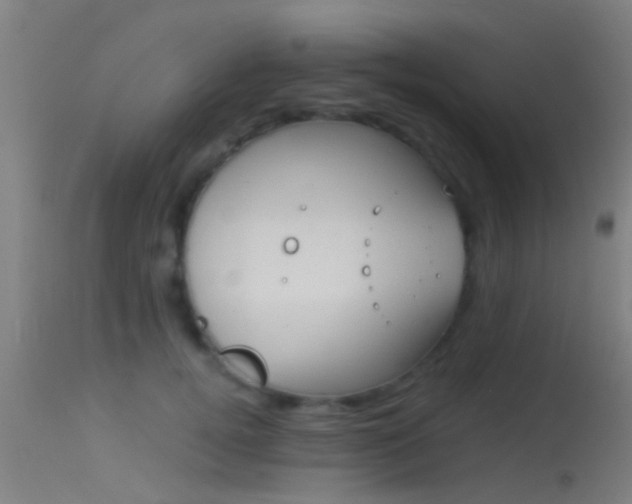 X0000114130752200910151545