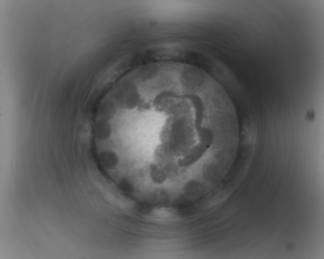 X0000114130753200910151545