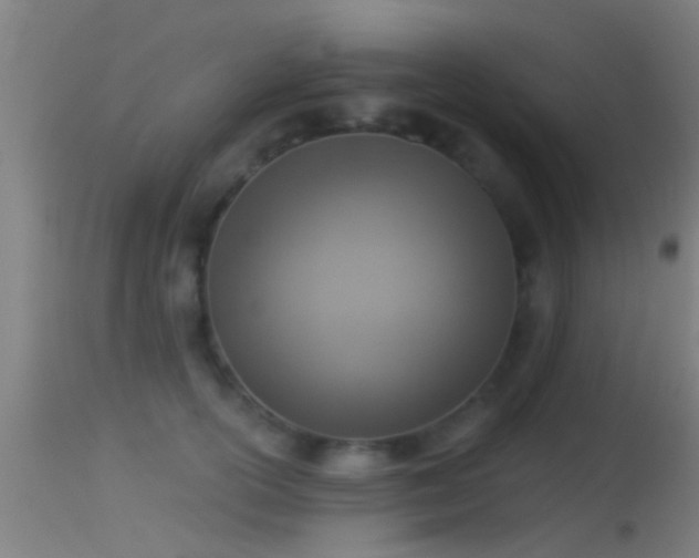 X0000114130754200910151545