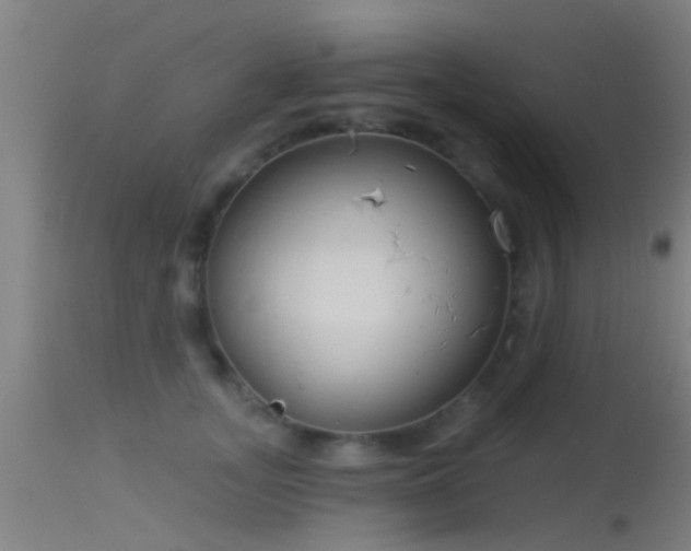 X0000114130755200910151545