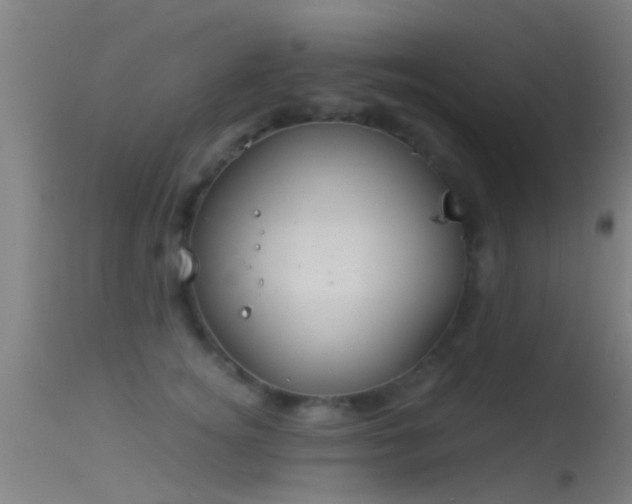 X0000114130756200910151545