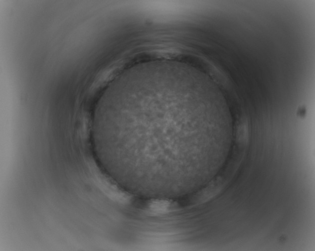 X0000114130757200910151545