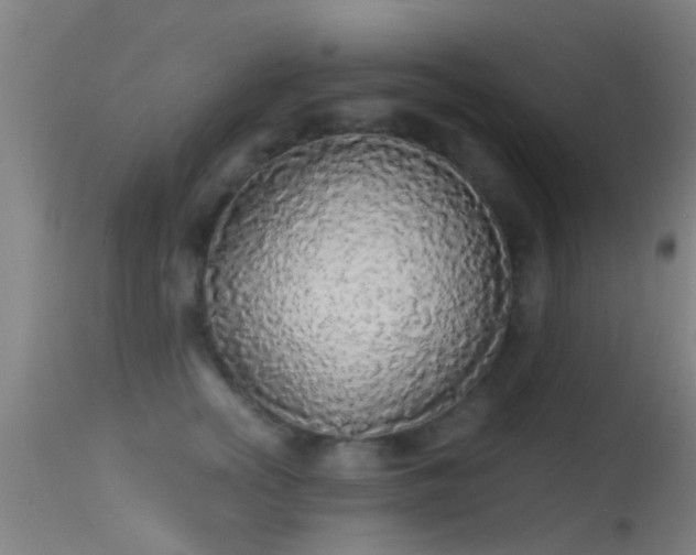 X0000114130758200910151545