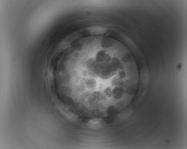 X0000114130761200910151545