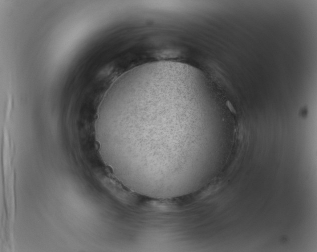 X0000114130763200910151545