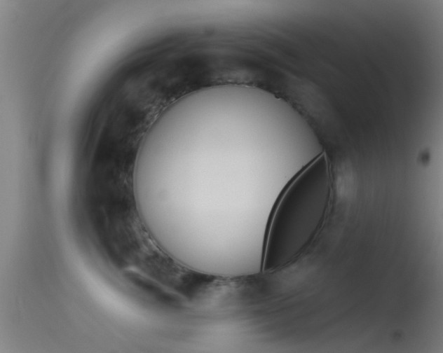 X0000114130764200910151545