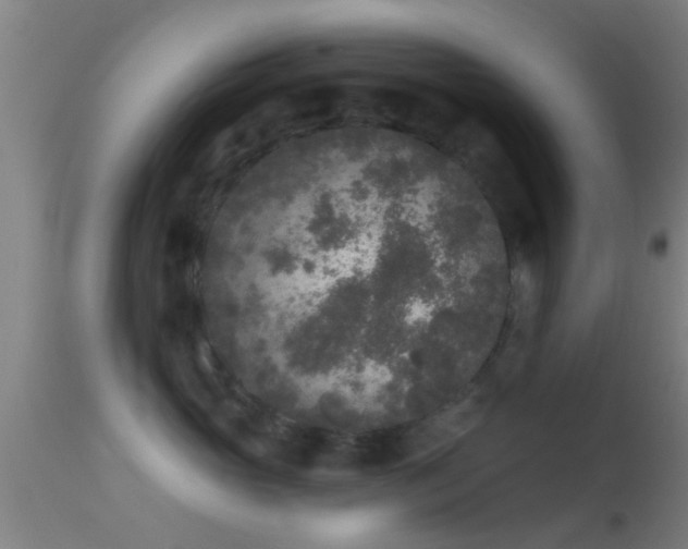 X0000114130765200910151545