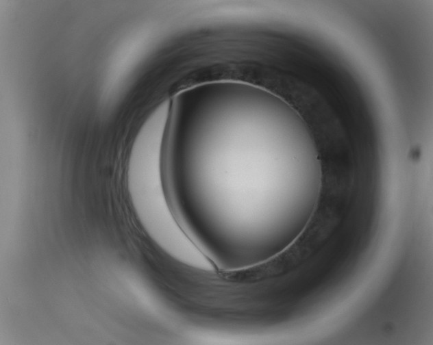 X0000114130766200910151545