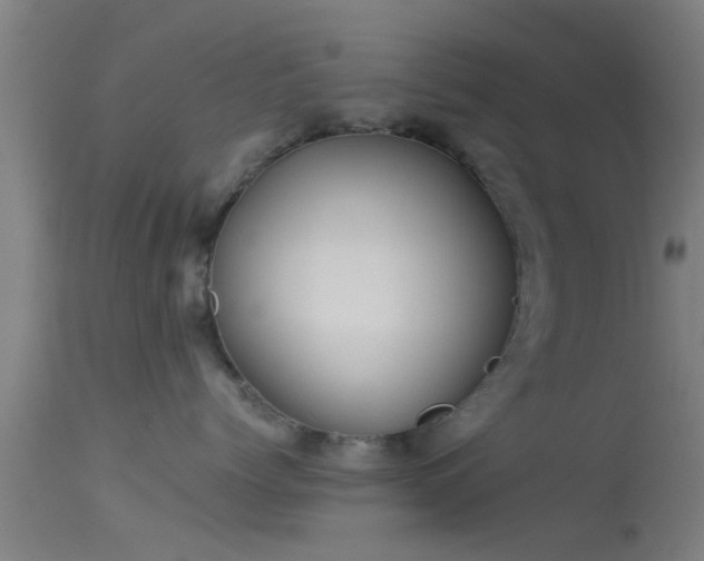 X0000114130768200910151545