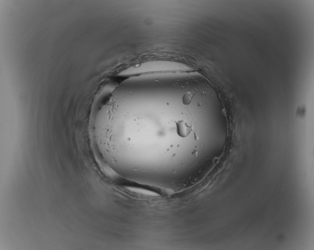 X0000114130769200910151544