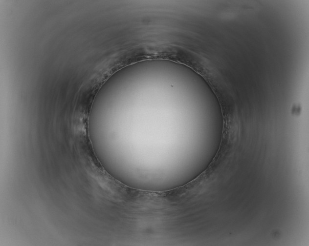 X0000114130770200910151544