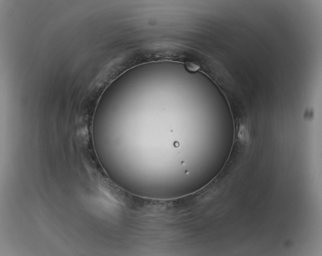 X0000114130771200910151544