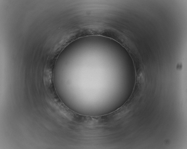 X0000114130772200910151544