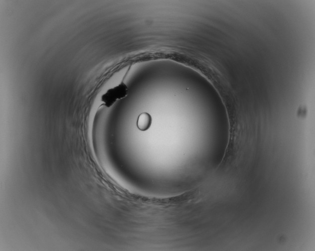 X0000114130773200910151544