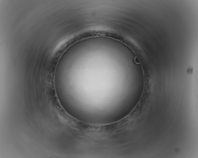 X0000114130775200910151544