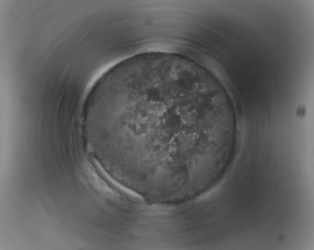 X0000114130779200910151544