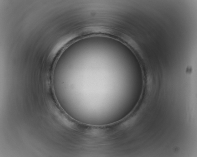 X0000114130782200910151544