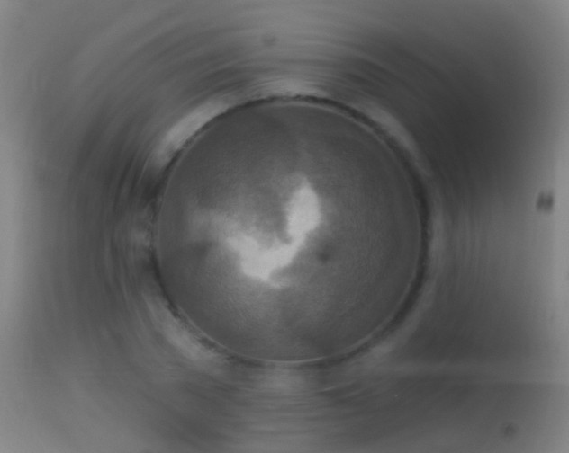 X0000114130785200910151544