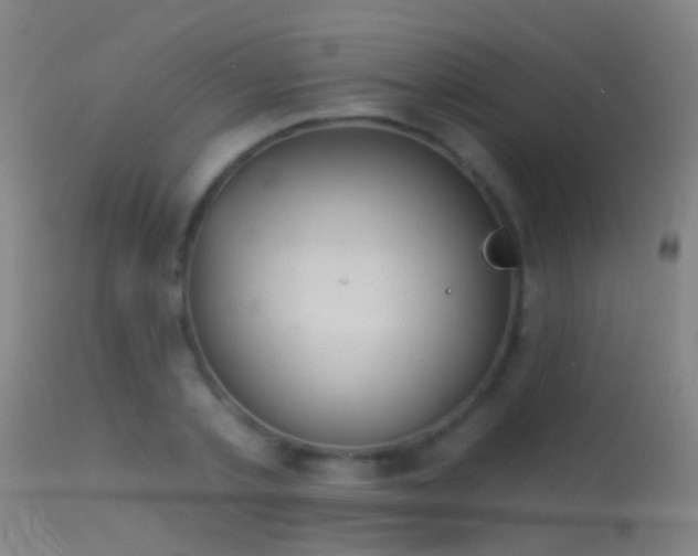 X0000114130789200910151544