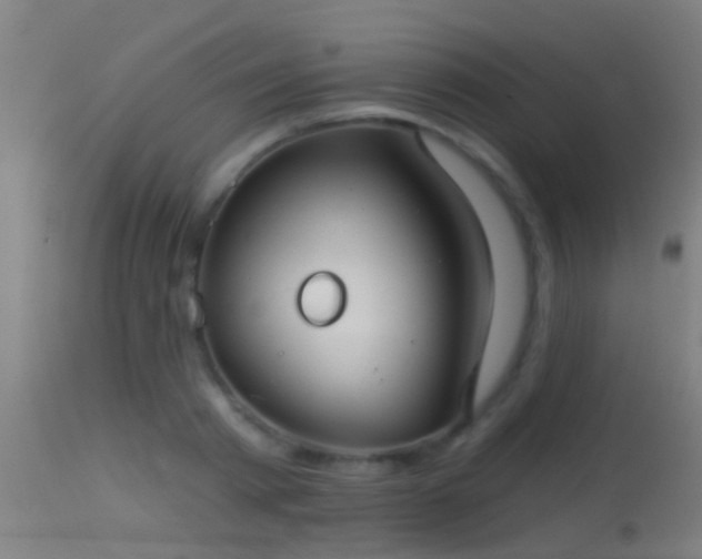 X0000114130793200910151544