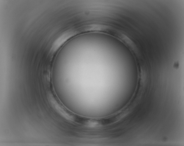 X0000114130794200910151544