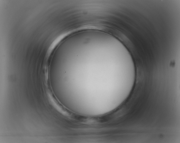 X0000114130796200910151544