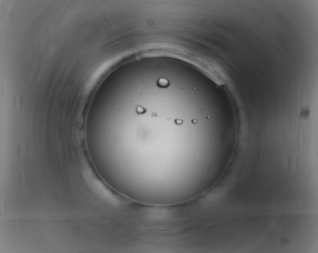 X0000114130799200910151544