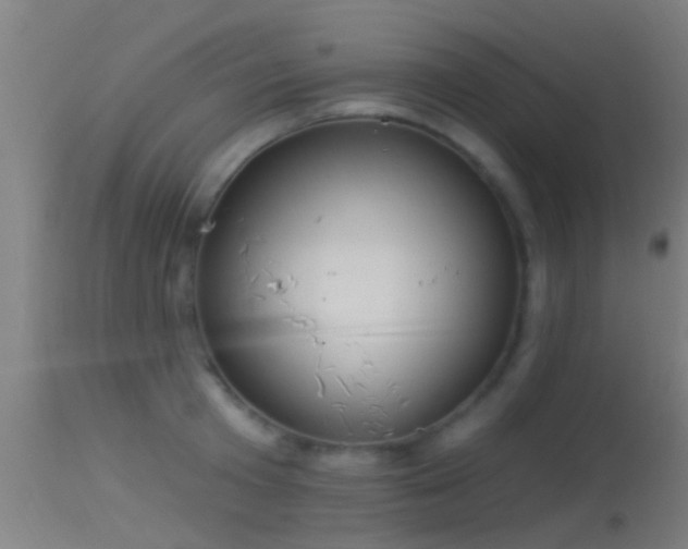 X0000114130801200910151544