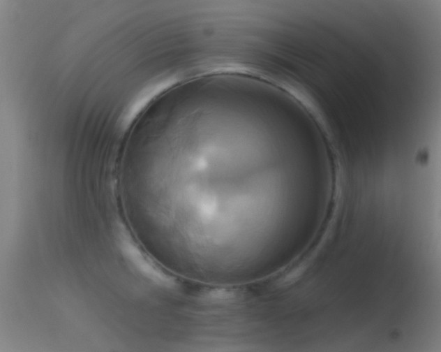 X0000114130806200910151544