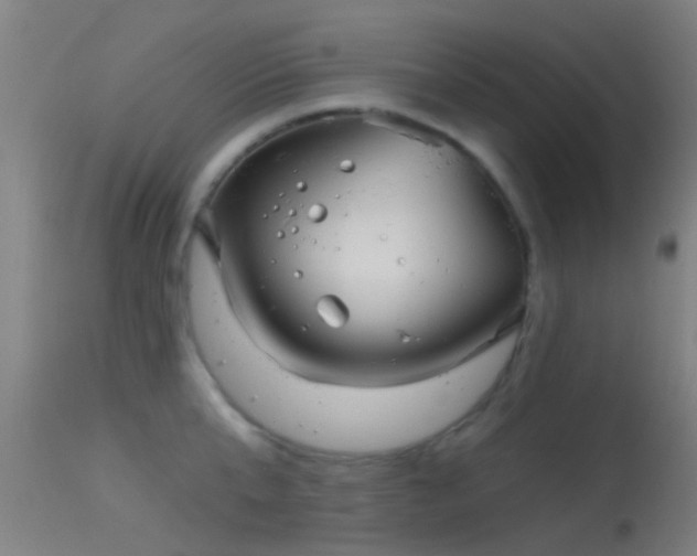 X0000114130807200910151544