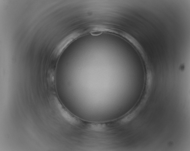 X0000114130809200910151543