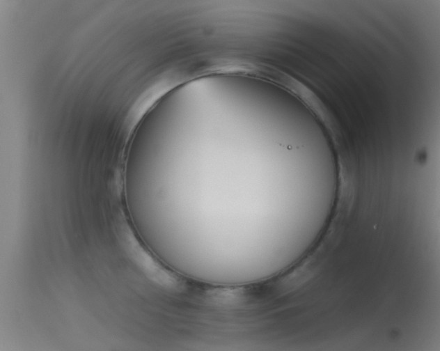 X0000114130810200910151543